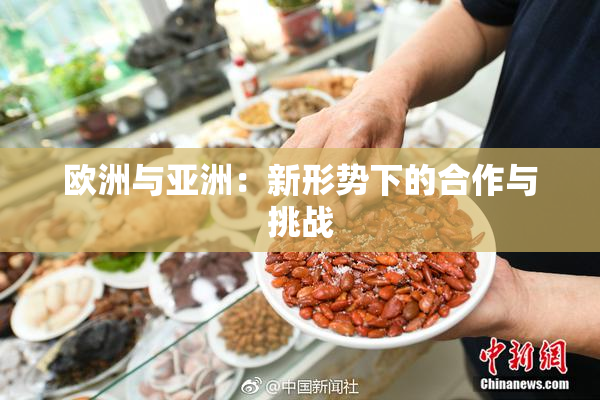 欧洲与亚洲：新形势下的合作与挑战