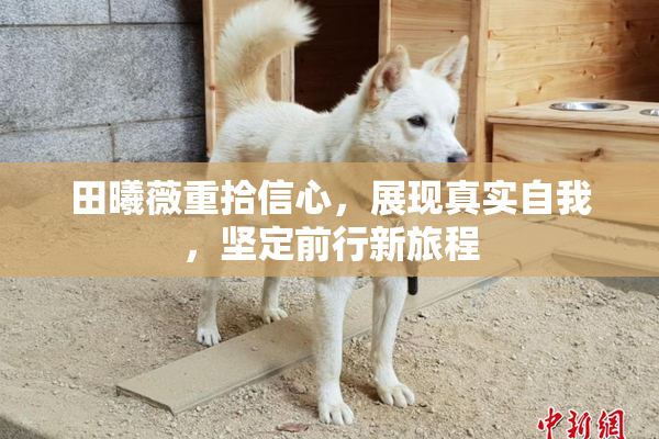 田曦薇重拾信心，展现真实自我，坚定前行新旅程
