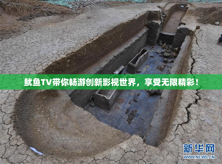 鱿鱼TV带你畅游创新影视世界，享受无限精彩！