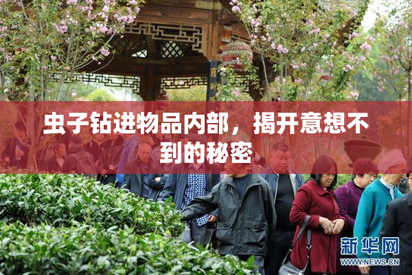 虫子钻进物品内部，揭开意想不到的秘密