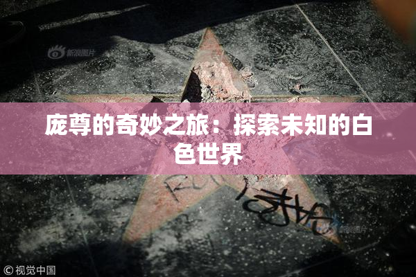 庞尊的奇妙之旅：探索未知的白色世界
