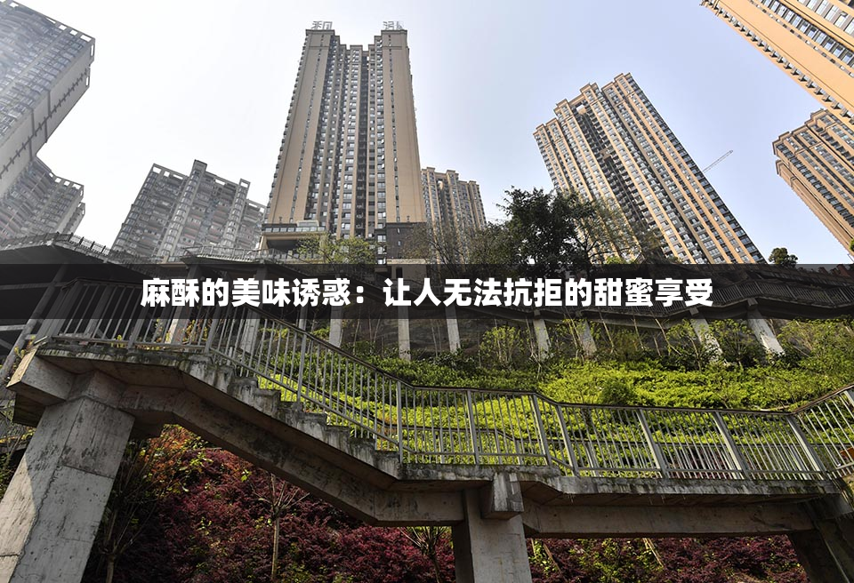 麻酥的美味诱惑：让人无法抗拒的甜蜜享受