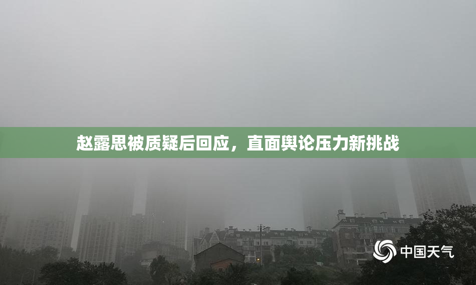 赵露思被质疑后回应，直面舆论压力新挑战