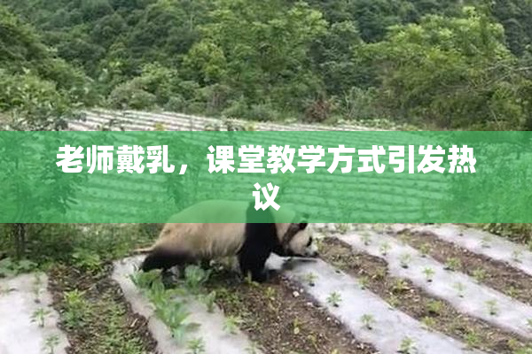 老师戴乳，课堂教学方式引发热议