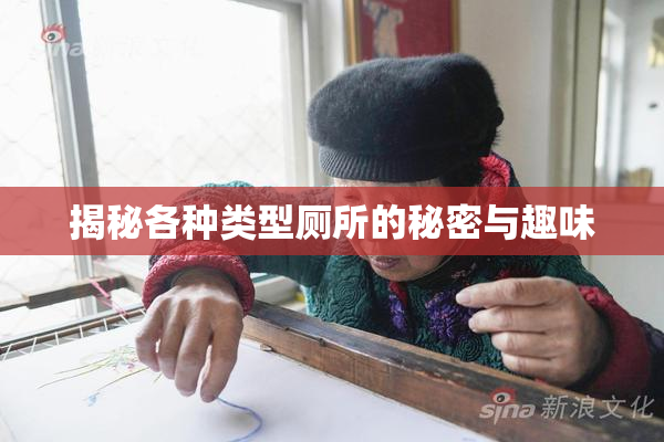 揭秘各种类型厕所的秘密与趣味