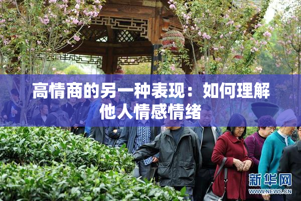高情商的另一种表现：如何理解他人情感情绪