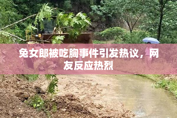 兔女郎被吃胸事件引发热议，网友反应热烈