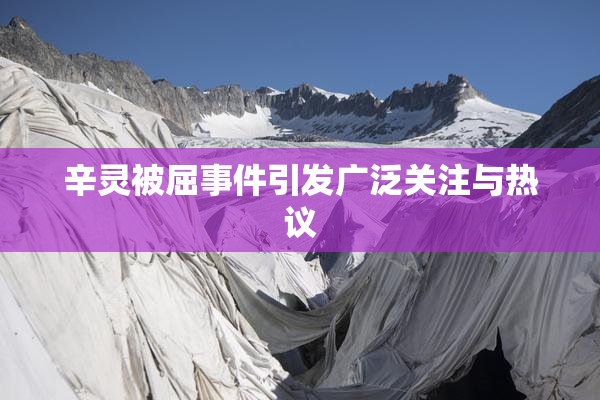 辛灵被屈事件引发广泛关注与热议