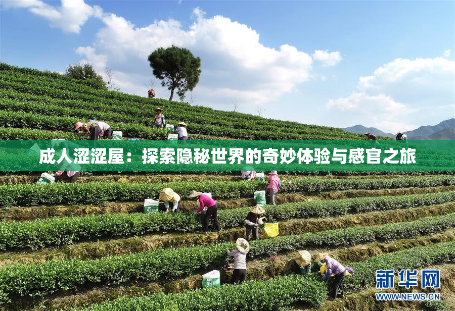 成人涩涩屋：探索隐秘世界的奇妙体验与感官之旅