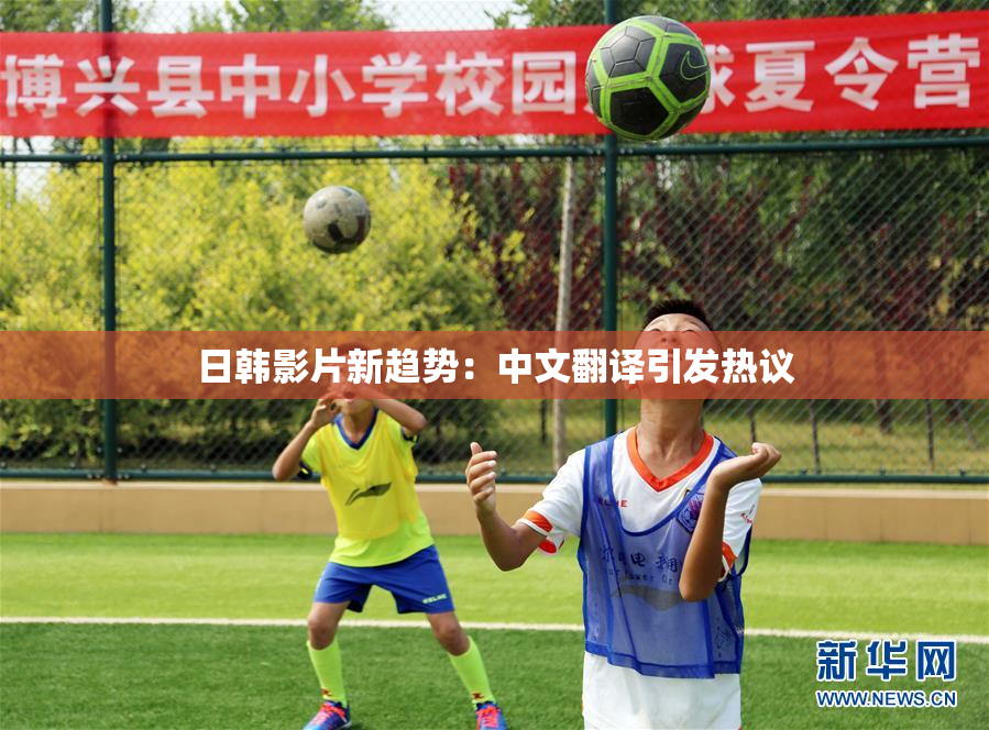 日韩影片新趋势：中文翻译引发热议