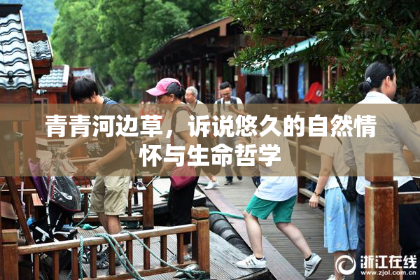 青青河边草，诉说悠久的自然情怀与生命哲学