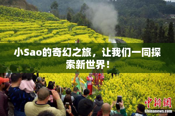小Sao的奇幻之旅，让我们一同探索新世界！