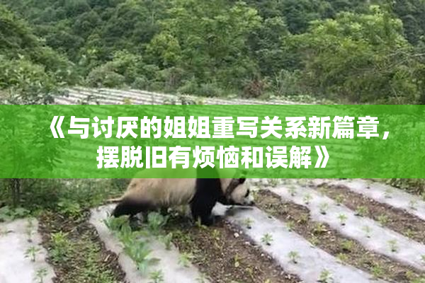 《与讨厌的姐姐重写关系新篇章，摆脱旧有烦恼和误解》