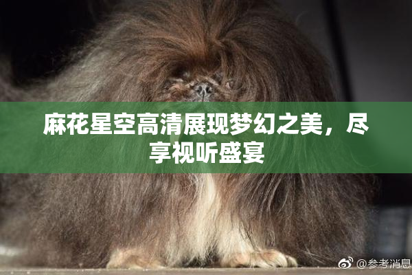 麻花星空高清展现梦幻之美，尽享视听盛宴
