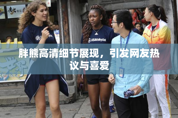 胖熊高清细节展现，引发网友热议与喜爱