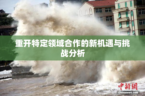 重开特定领域合作的新机遇与挑战分析