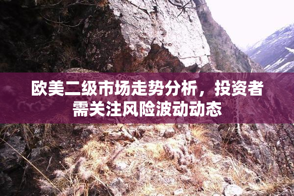 欧美二级市场走势分析，投资者需关注风险波动动态