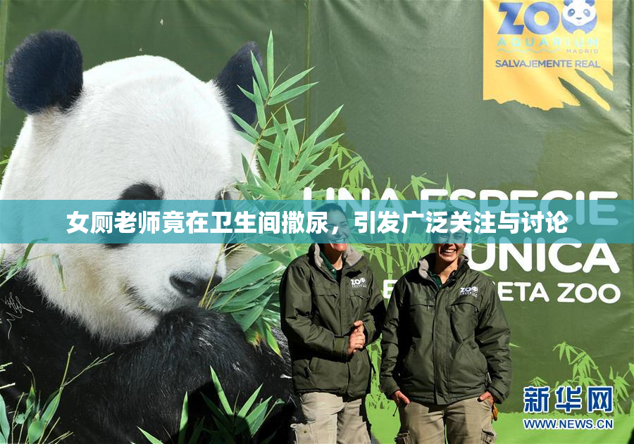女厕老师竟在卫生间撒尿，引发广泛关注与讨论