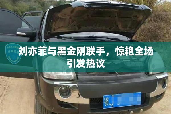 刘亦菲与黑金刚联手，惊艳全场引发热议