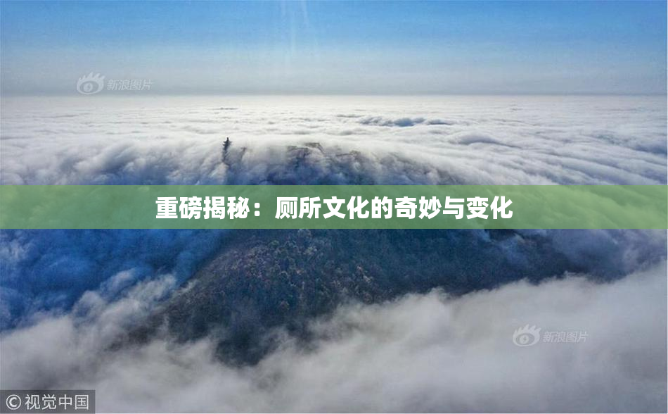 重磅揭秘：厕所文化的奇妙与变化