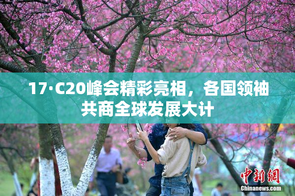 17·C20峰会精彩亮相，各国领袖共商全球发展大计
