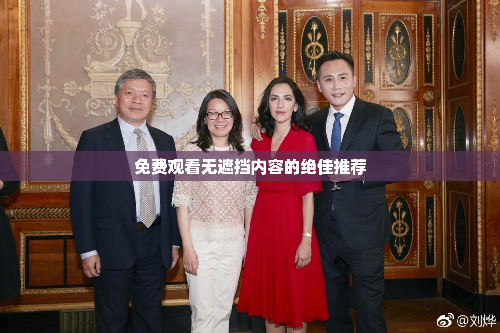 免费观看无遮挡内容的绝佳推荐