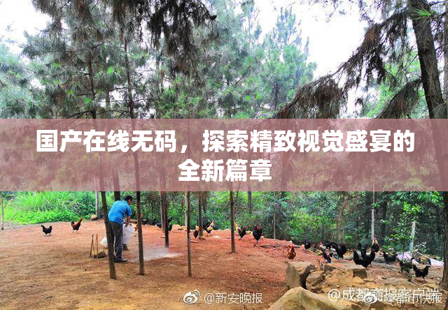 国产在线无码，探索精致视觉盛宴的全新篇章