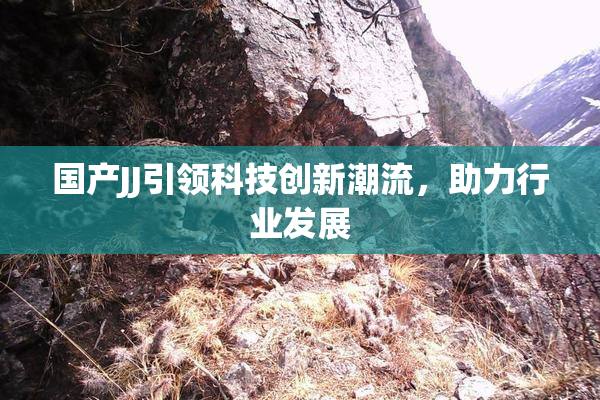 国产JJ引领科技创新潮流，助力行业发展