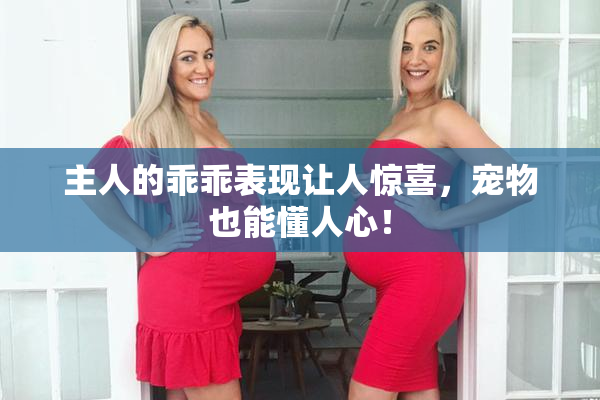 主人的乖乖表现让人惊喜，宠物也能懂人心！