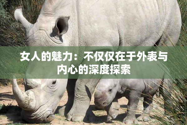 女人的魅力：不仅仅在于外表与内心的深度探索