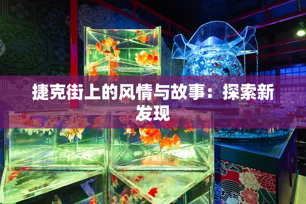 捷克街上的风情与故事：探索新发现
