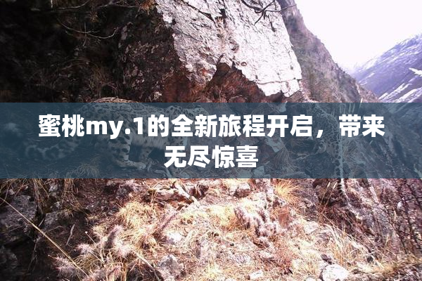 蜜桃my.1的全新旅程开启，带来无尽惊喜
