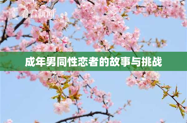 成年男同性恋者的故事与挑战