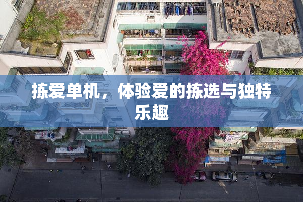 拣爱单机，体验爱的拣选与独特乐趣
