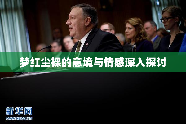 梦红尘裸的意境与情感深入探讨