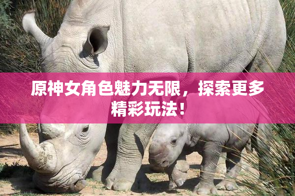 原神女角色魅力无限，探索更多精彩玩法！
