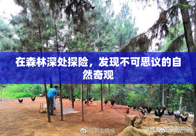 在森林深处探险，发现不可思议的自然奇观
