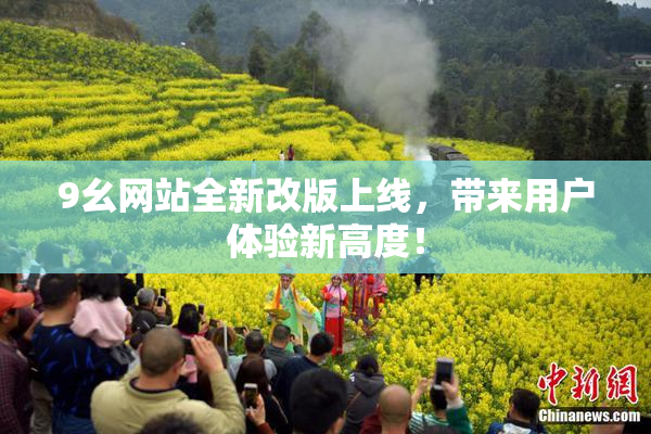 9幺网站全新改版上线，带来用户体验新高度！