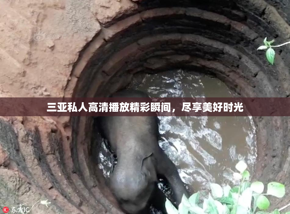 三亚私人高清播放精彩瞬间，尽享美好时光