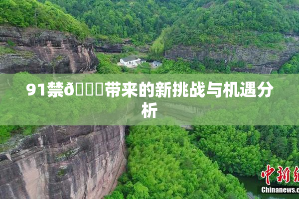 91禁🍆带来的新挑战与机遇分析