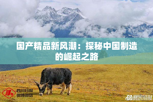 国产精品新风潮：探秘中国制造的崛起之路