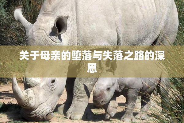 关于母亲的堕落与失落之路的深思