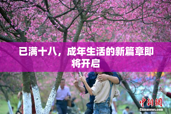 已满十八，成年生活的新篇章即将开启