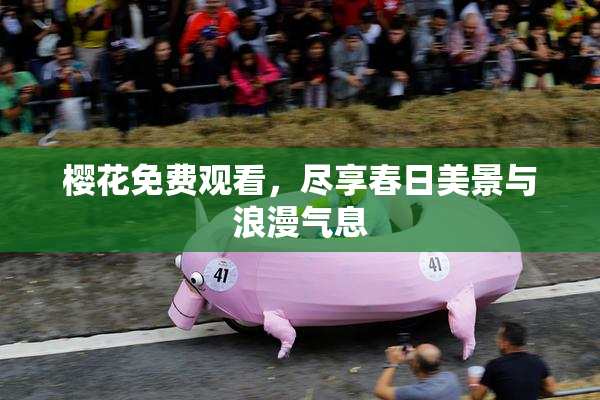 樱花免费观看，尽享春日美景与浪漫气息