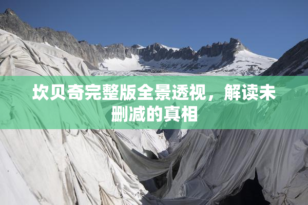 坎贝奇完整版全景透视，解读未删减的真相
