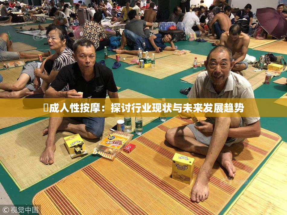 巜成人性按摩：探讨行业现状与未来发展趋势