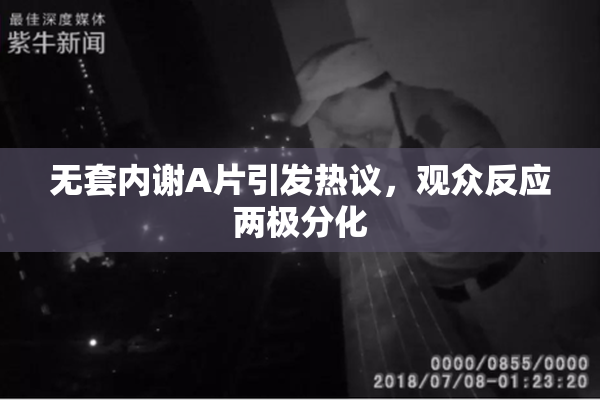 无套内谢A片引发热议，观众反应两极分化