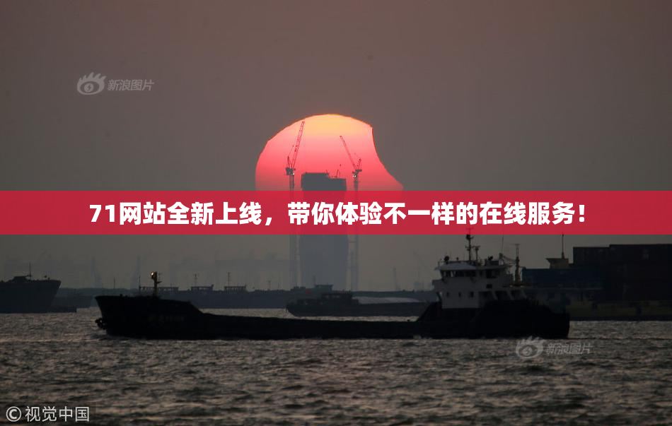 71网站全新上线，带你体验不一样的在线服务！