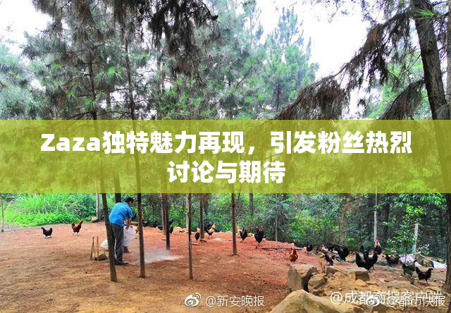 Zaza独特魅力再现，引发粉丝热烈讨论与期待