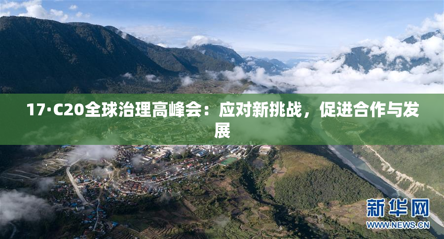 17·C20全球治理高峰会：应对新挑战，促进合作与发展
